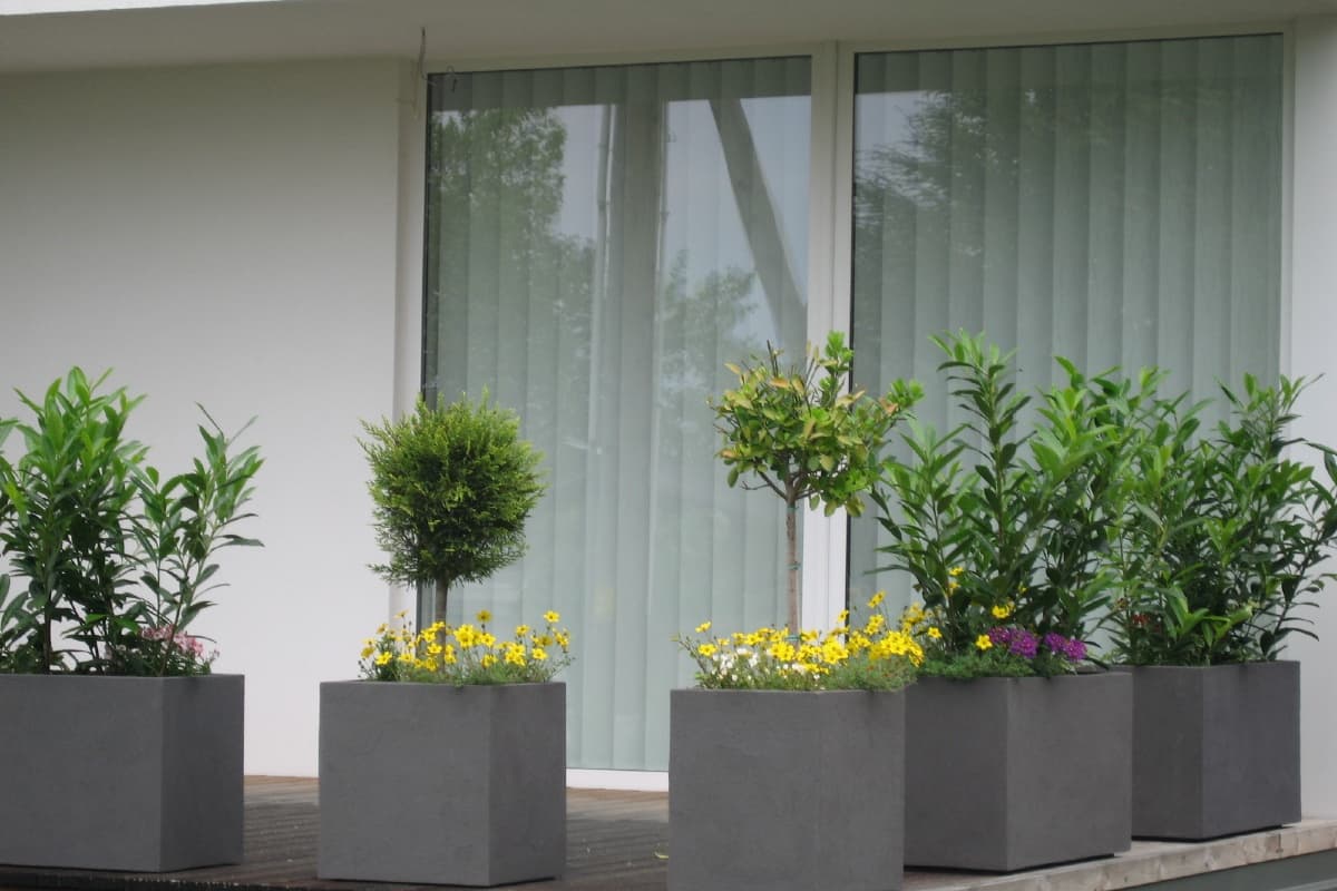 Blumentrog-Flexi GmbH