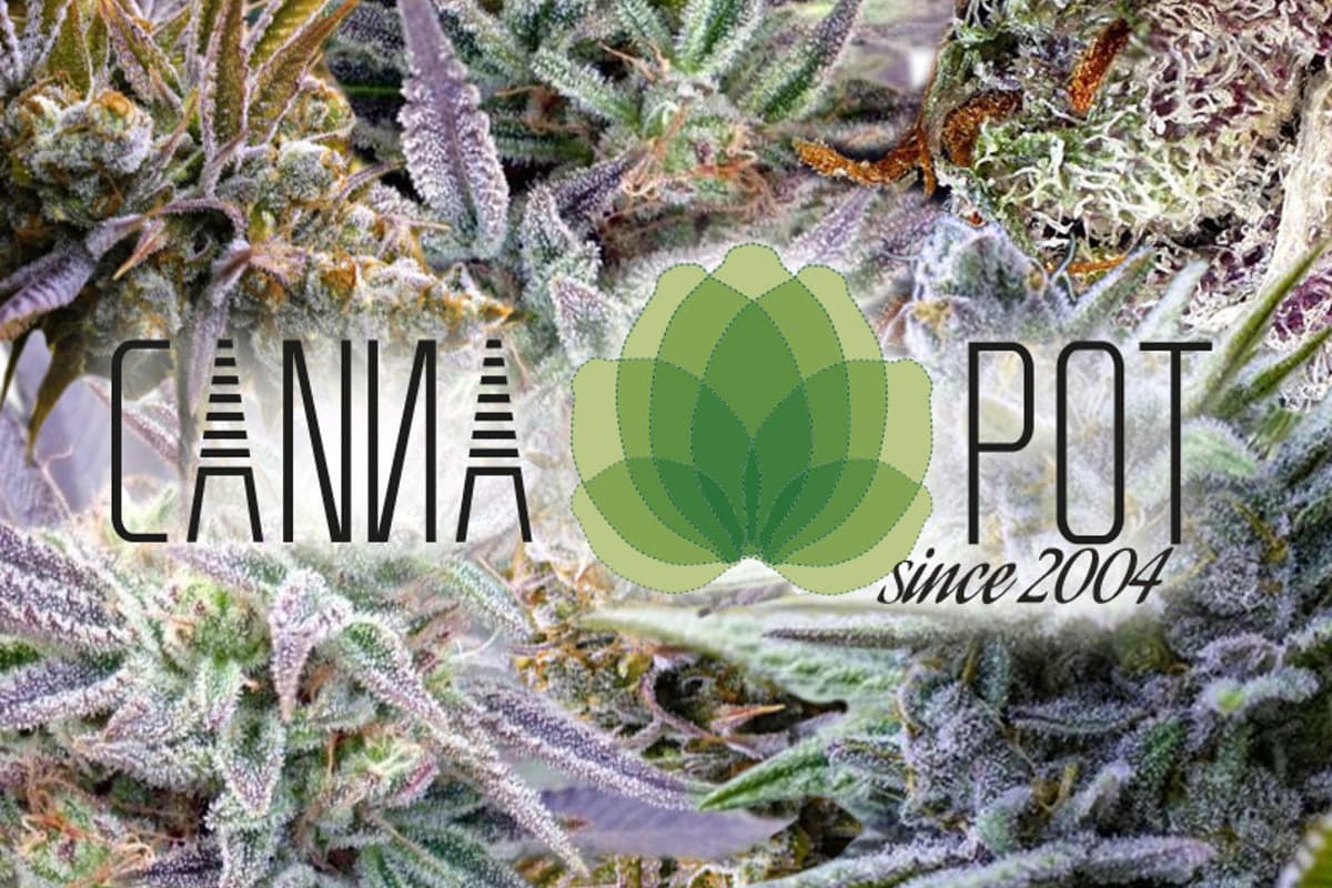 Cannapot Hanfshop