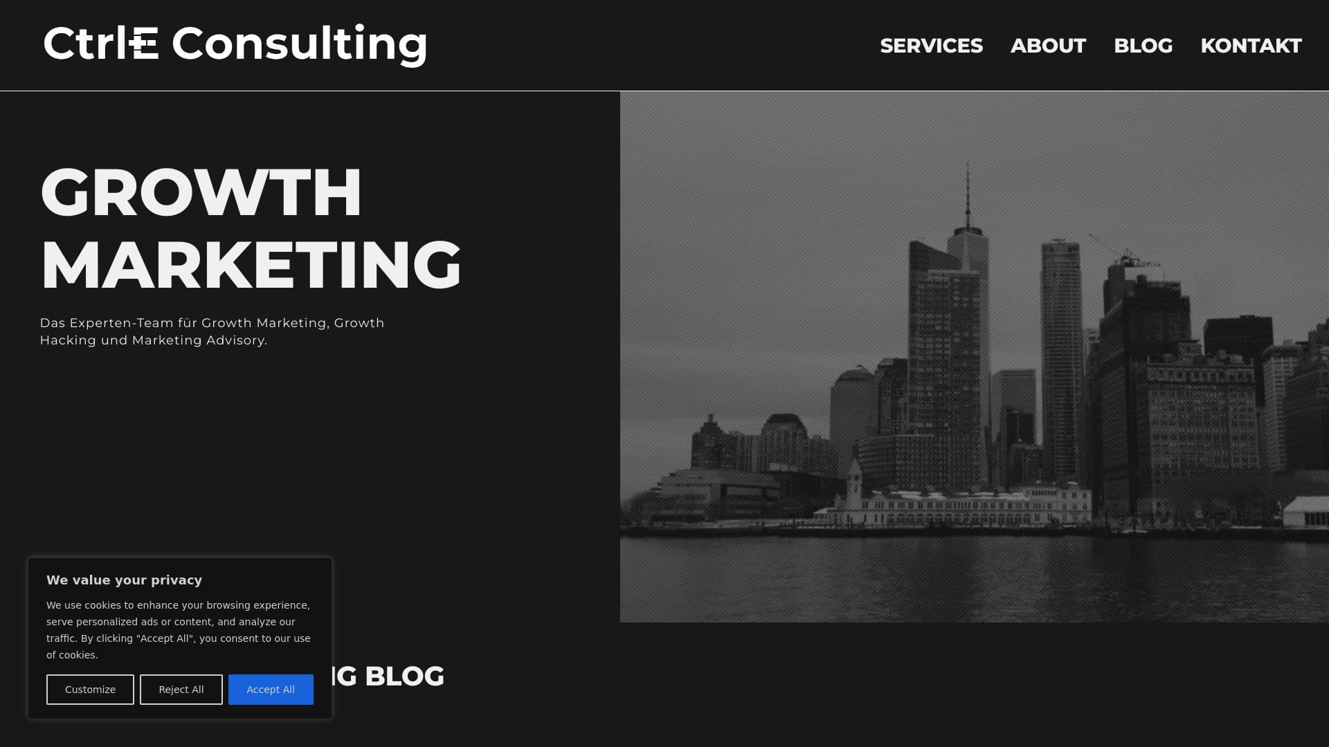 CtrlE Consulting & Holding GmbH