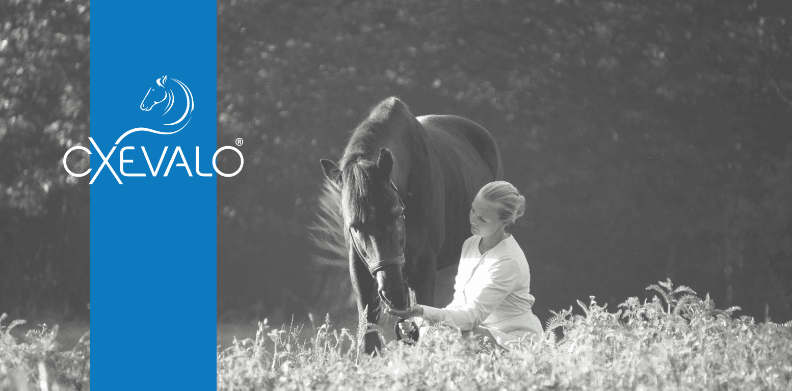 CXEVALO Pferdepflege