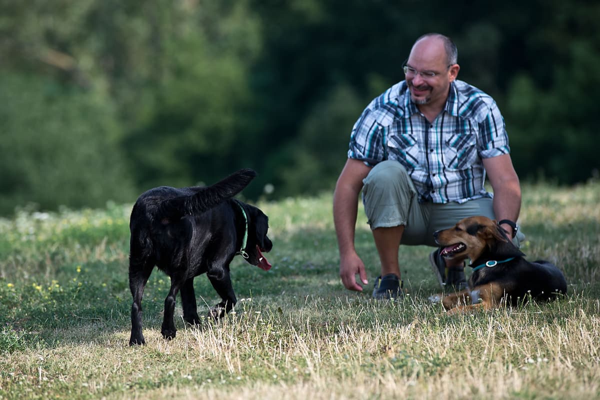 Dogsitter@work