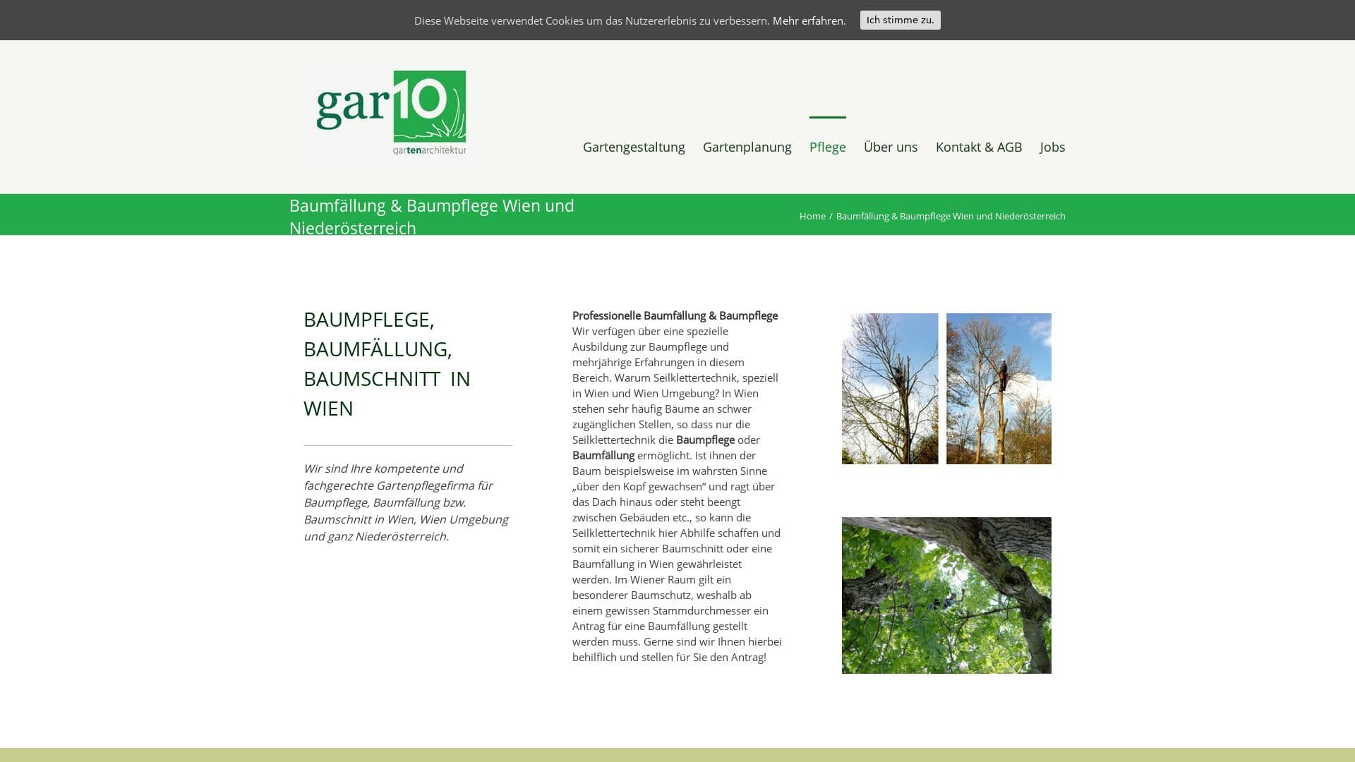 Gar10baumpflege