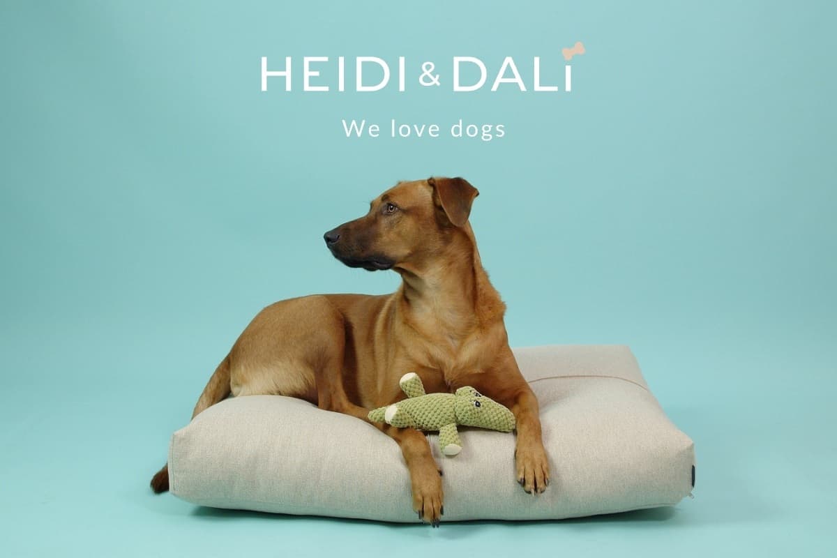 HEIDI & DALÍ