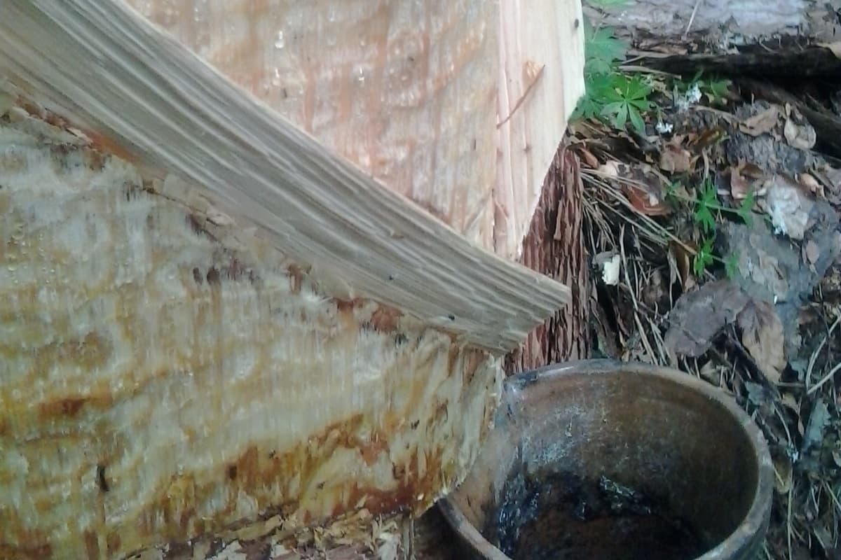 Peter Wieser Naturkosmetik