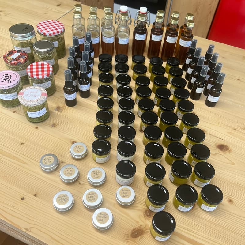 Kräuterapotheke selbst gemacht