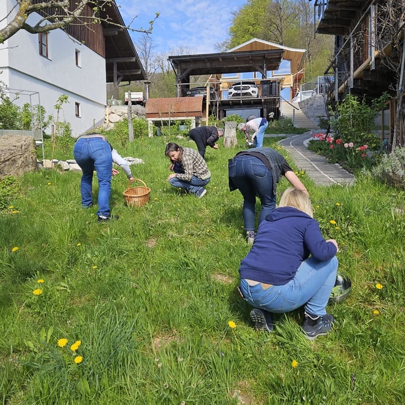 Kräuterwanderung
