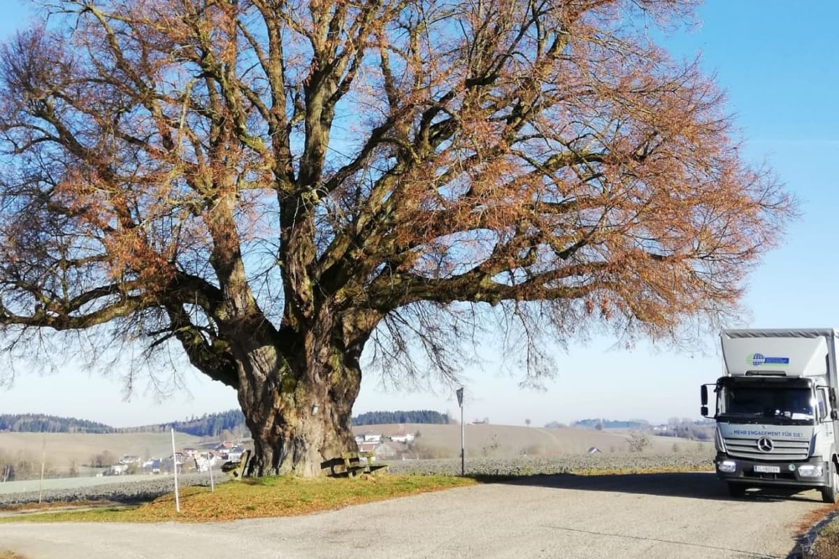 Kombi Kargo West Internationale Spedition & Logistik GmbH