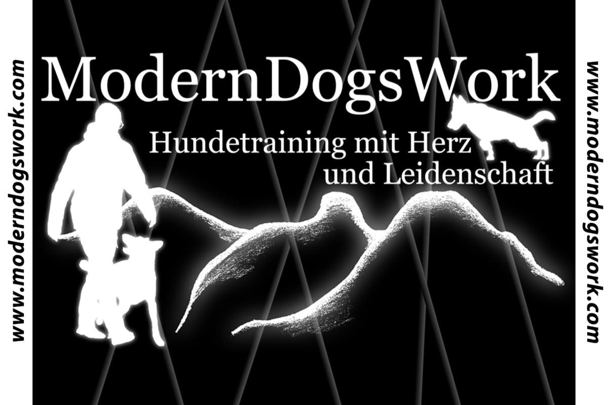 ModernDogsWork
