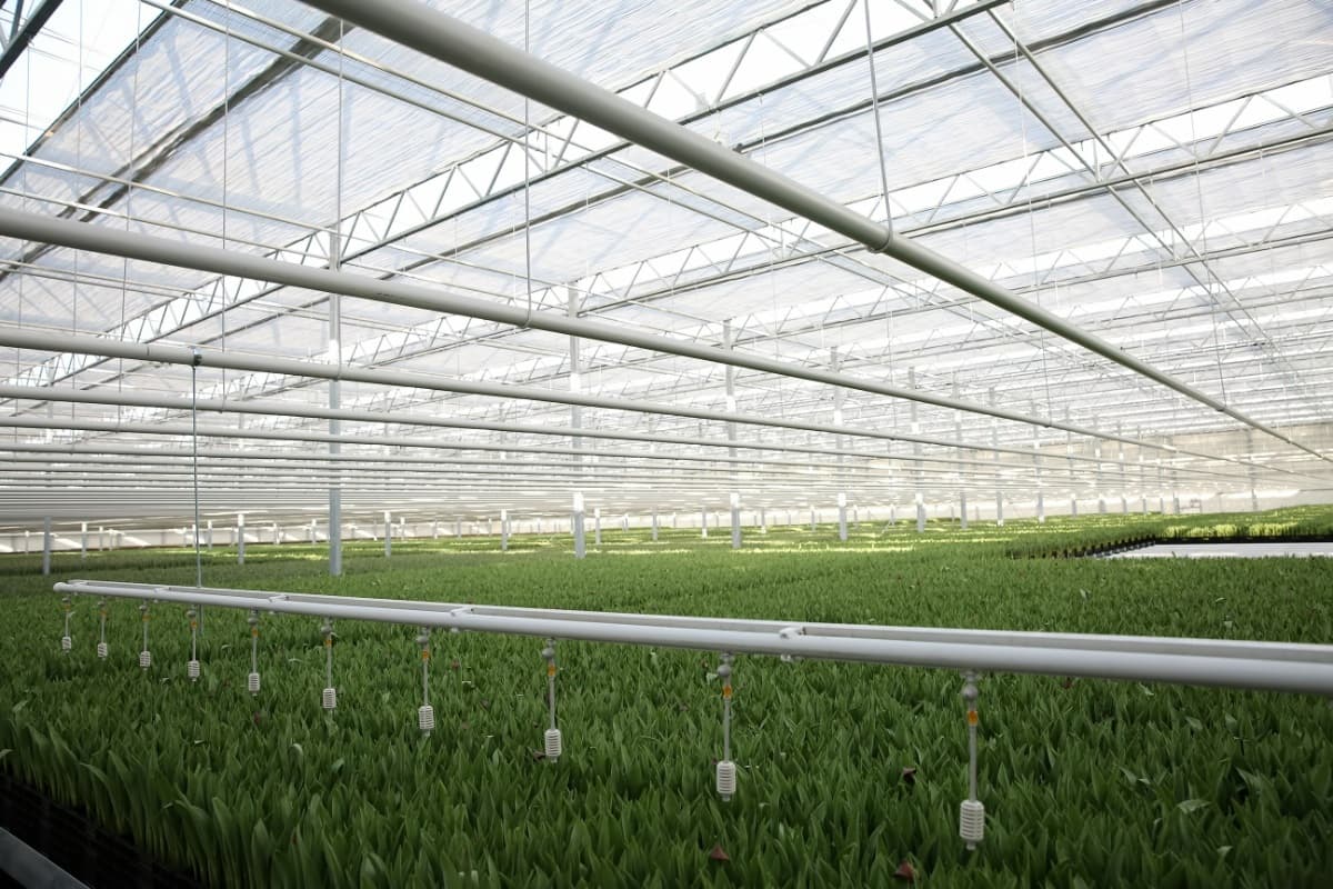 Waibel Floristik GmbH