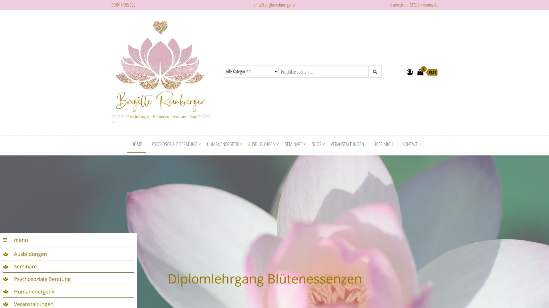 www.brigitte-reinberger.at